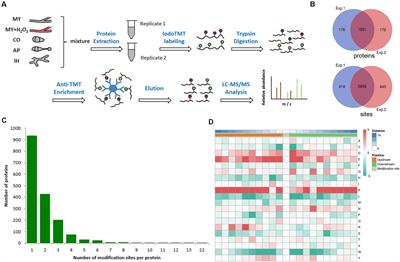 The Redox Proteome of Thiol Proteins in the Rice Blast Fungus Magnaporthe oryzae